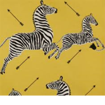 Attack Of Zebras