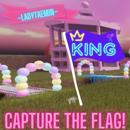 Capture the flags-Ladytaemin