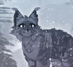 _+:{DawnClan}:+_