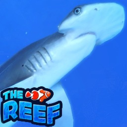 Before game thumbnail