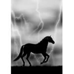 Thunder Bolt riding academy