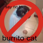 Burrito Cat Hate Club