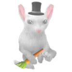 Bunny Bingus