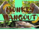 Monke Hangout!