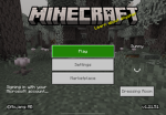 The mincraft friends