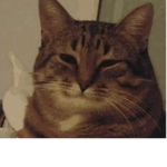 AAFVF