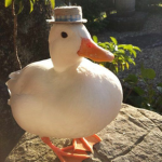 Ducky-Daycare