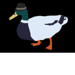 [USA]Duck Fedoras