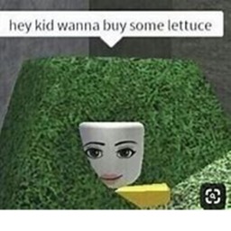 grass