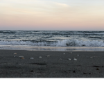 Ocean wave clothing