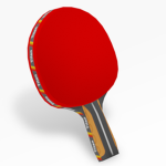 Paddleball Team