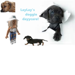 lay lay's doggy daycare