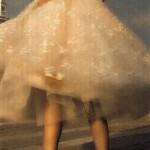 *:･ﾟ✧*:･ﾟ✧