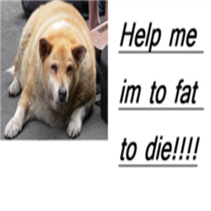 Fat Dog Roblox decal
