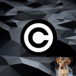 MrCopyright Fan Club
