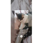 Bobby the kitten