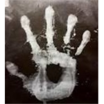Order of The White Hand