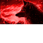 The Foxer gamers
