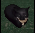 the sigma people in cat gang