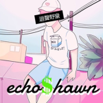 ECHO $HAWN ™