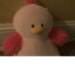 Duck gamer squid you tuber pros