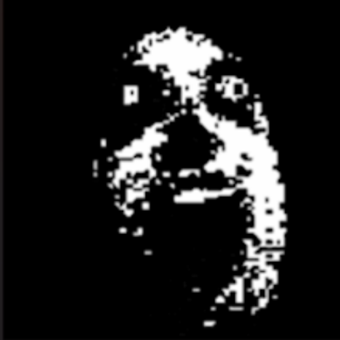 Creepy face animation frame 3 Roblox decal