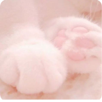 • dreamy paws •