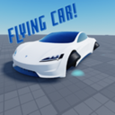 Flying Car