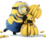 Family of minions