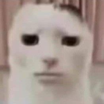 lttl_BunnySquad