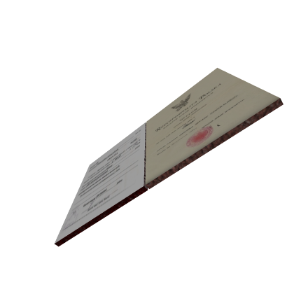 the passport (not real)