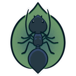 Ant Nest Studio
