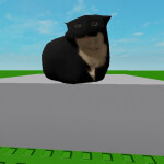 Maxwell Experience 2025