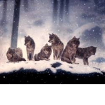 The Fearsome Wolves
