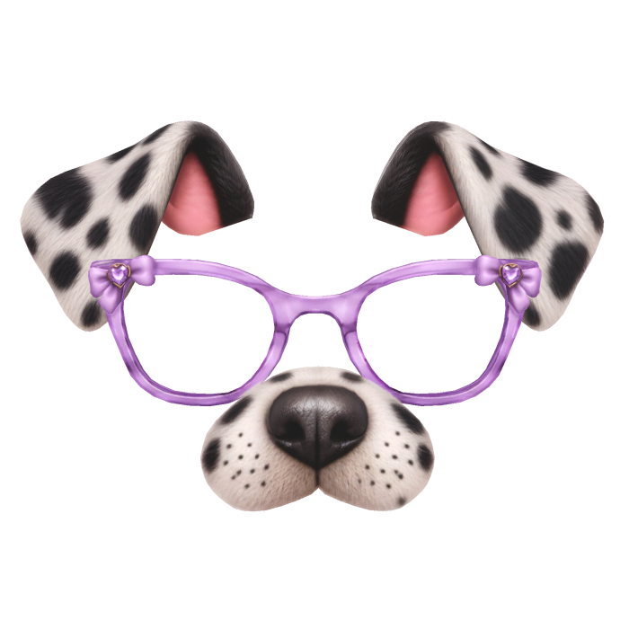 Dog Filter