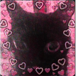 (´▽`ʃ♡ƪ)