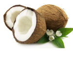 coconut ARMY CLAN(cr)