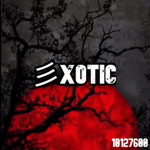 彡Xotic