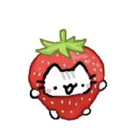 Ashy’s Strawberries
