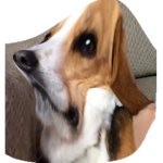 KaReN.