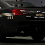 Georgia State Role-Play!