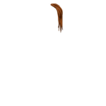 Connivance
