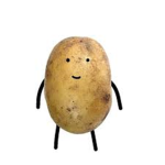 Sweet_Potato_Team