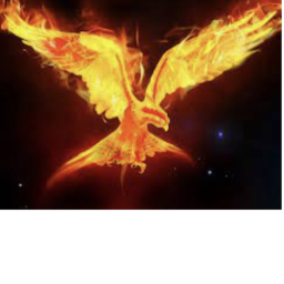 The Mysteries Of The Attack Of The Pheonix