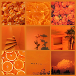 ORANGE FAM