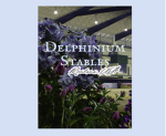 Delphinium Fields