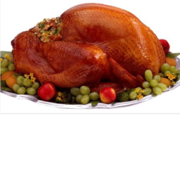 Turkey Nation Group Place