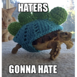 +Turtle Club+
