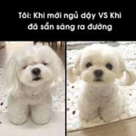 ngay ba thang nam