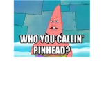 The pinheads group